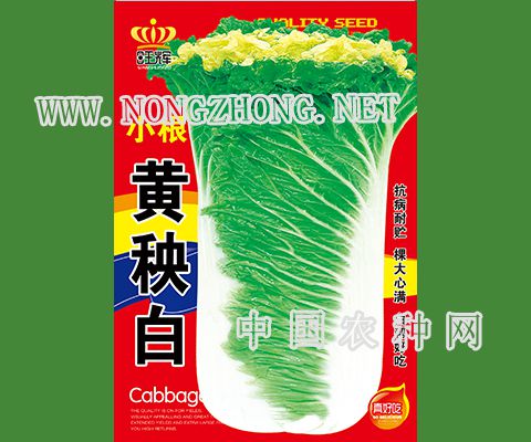 小根黄秧白